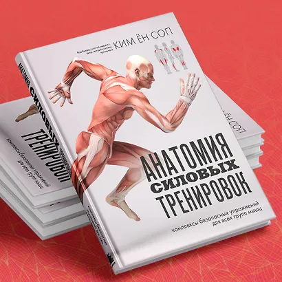 Анатомия силовых тренировок - фото 8