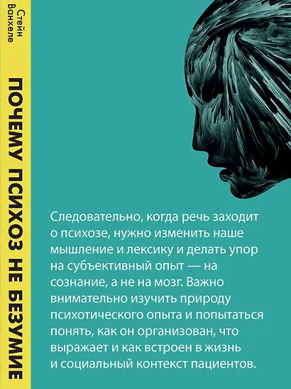 Почему психоз не безумие. Рекомендации для специалистов, пациентов и их родных - фото 8