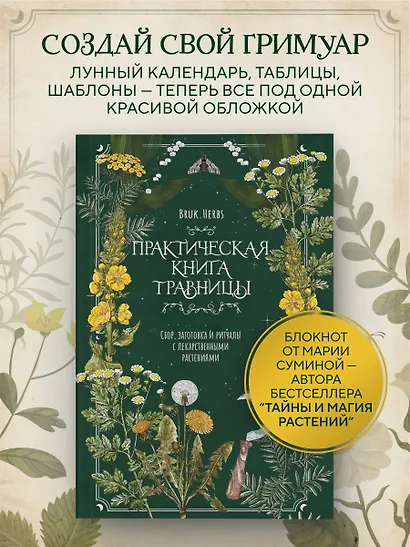 Практическая книга травницы. Сбор, заготовка и ритуалы с лекарственными растениями (Bruk.Herbs) - фото 4