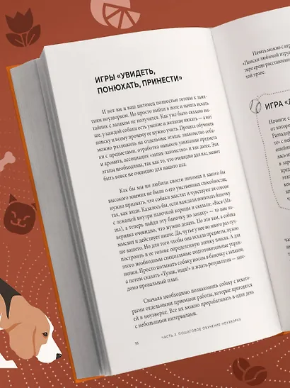 Возьми след! Секреты ноузворка: тренировки для собак - фото 8