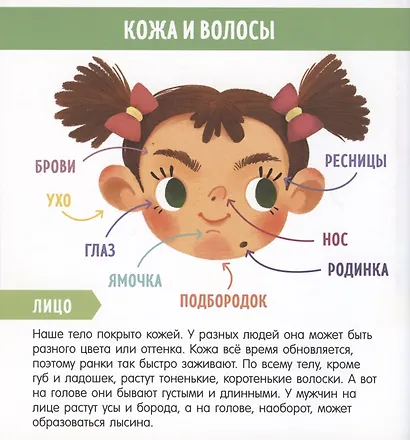 Найди и покажи, малыш. Мое тело - фото 4