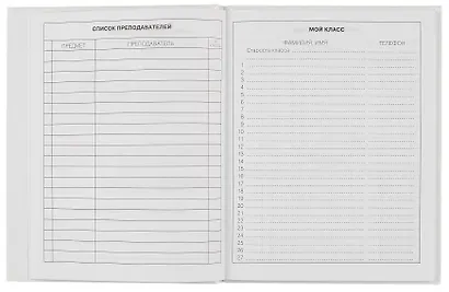 Дневник школьный Listoff, "Белый дневник. Only girls" - фото 4