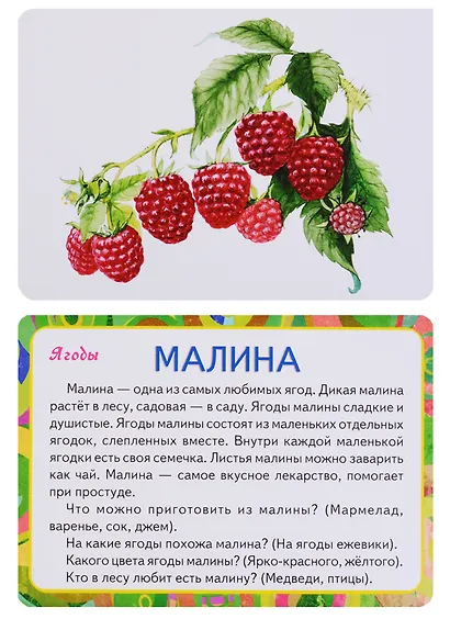 Овощи, фрукты, ягоды - фото 2