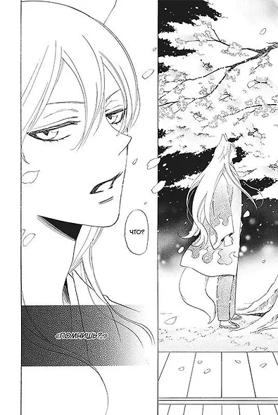 Очень приятно, Бог. Том 24 (Kamisama Hajimemashita). Манга - фото 6