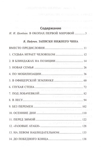 Записки нижнего чина. Записки прапорщика - фото 2
