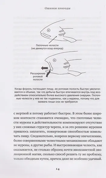 Ошибки природы: Пределы и несовершенство естественного отбора - фото 4