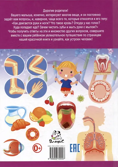 Как устроен человек. Первая энциклопедия для малышей - фото 2