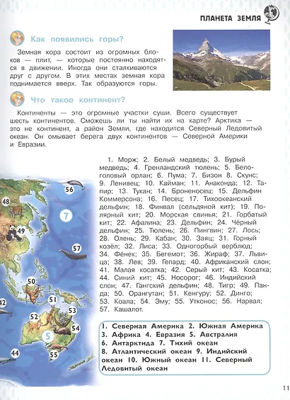 Энциклопедия для дошкольников с веселым енотом - фото 5