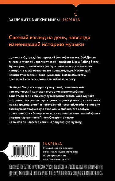 Переход Боба Дилана к электрозвучанию - фото 2