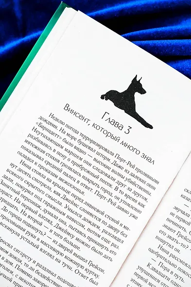 О дьяволе и бродячих псах - фото 11