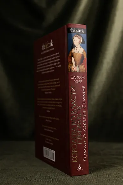 Королева во власти призраков. Роман о Джейн Сеймур - фото 8