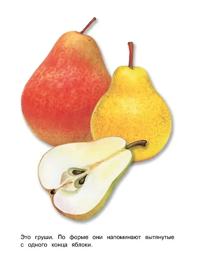 Фрукты. Окружающий мир. Раскраска - фото 4