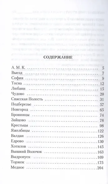 Путешествие из Петербурга в Москву - фото 3