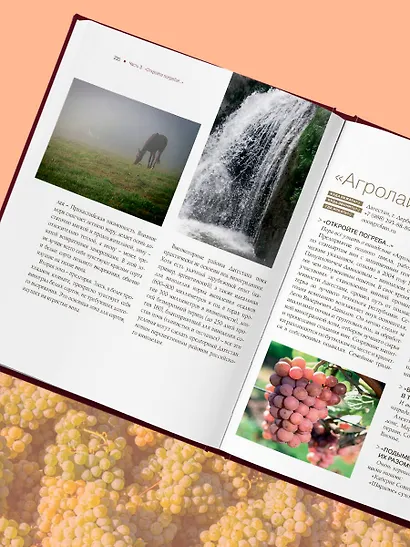 Атлас русского вина. От Крыма до Волги: путеводитель по российским винам - фото 11