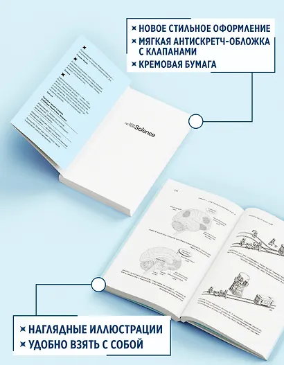 Мозг: ваша личная история - фото 5