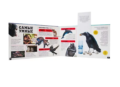 Чудо-животные - фото 3