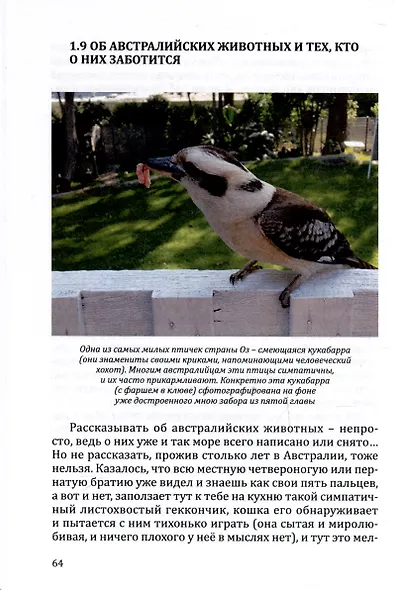 Новые сказки страны Оз - фото 5