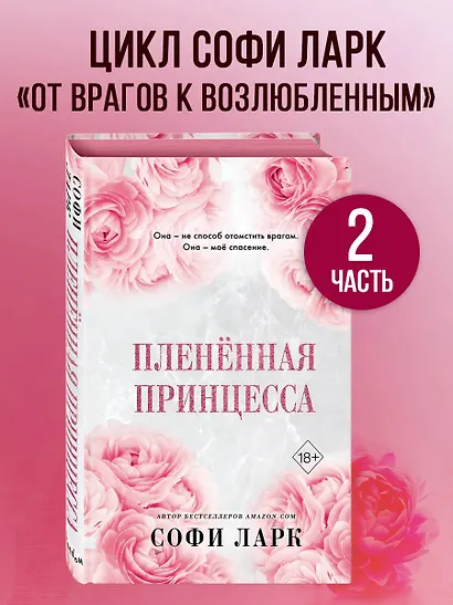 Пленённая принцесса (#2) - фото 4