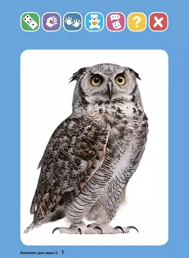 Логопедические карточки. Логопедический комплект для автоматизации звука С. 36 карточек - фото 2