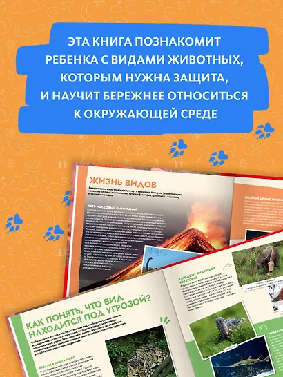 S.O.S. Красная книга - фото 5