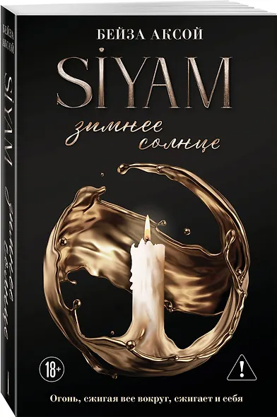 Зимнее солнце - фото 3