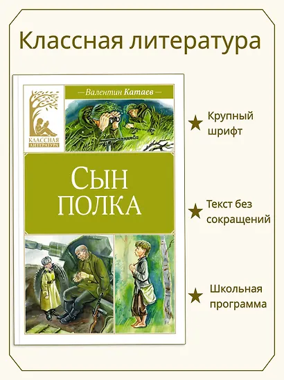 Сын полка - фото 3