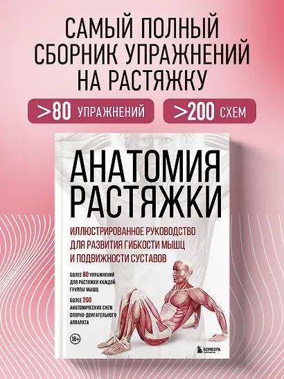 Анатомия растяжки. Иллюстрированное руководство для развития гибкости мышц и подвижности суставов - фото 4