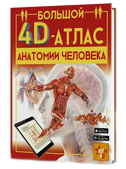 Большой 4D-атлас анатомии человека - фото 6