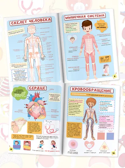 Тело человека - фото 4