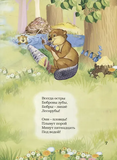 Лесные жители (6+) - фото 4