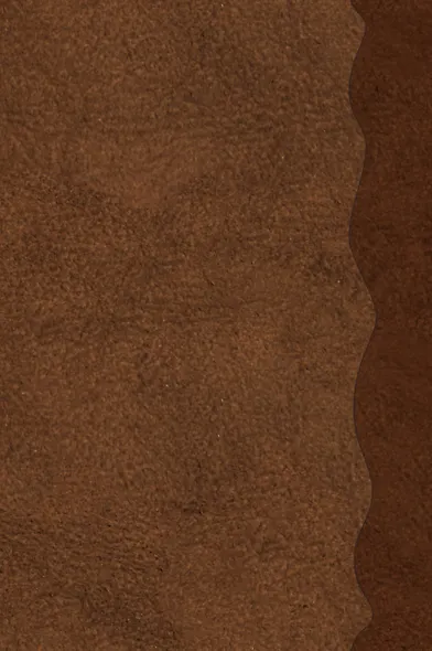 Дневник Ньюта Скамандера (обложка замша) - фото 4