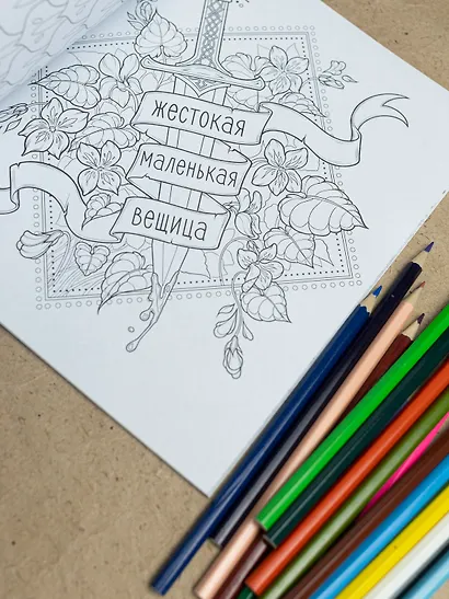 Официальная раскраска по книге и стикерпак «Четвертое крыло» - фото 9