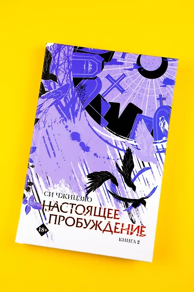 Настоящее пробуждение. Real Awakening. Книга 2 - фото 12