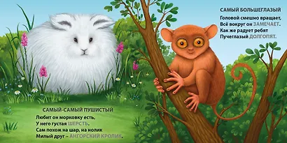 Такие разные птицы. Загадки-рифмы - фото 10