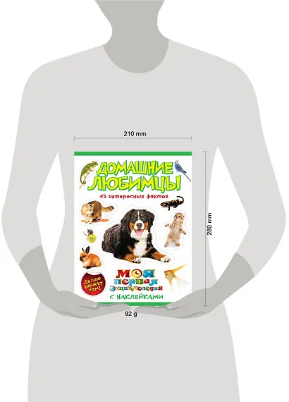 Домашние любимцы. - фото 3