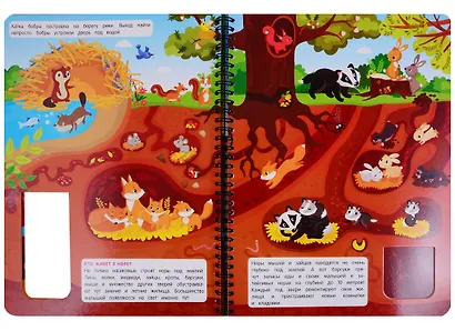 Что там под землей? Книжка на пружине - фото 4