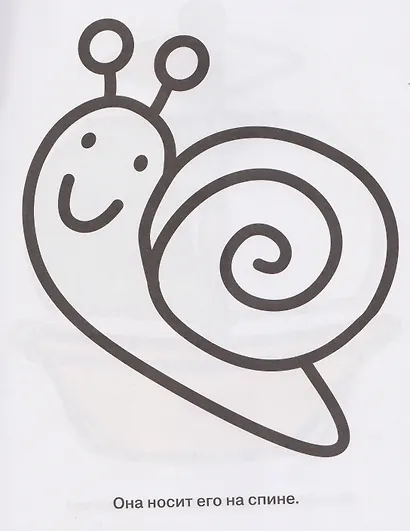 Цыплёнок. Выпуск 2 - фото 4