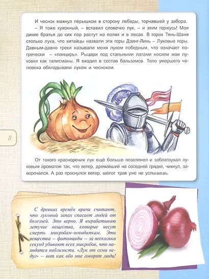 Зеленая аптека - фото 6