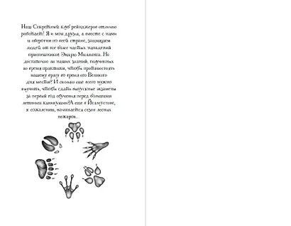 Дети леса. День огня (#6) - фото 9