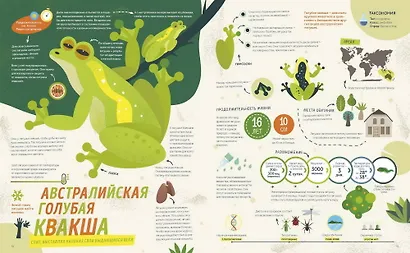 Как спит пчела? Удивительные факты о животных и их суперспособностях - фото 6