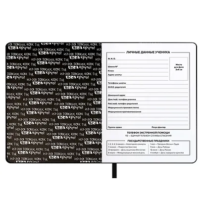 Дневник шк. "Всё круто" кожзам, тв.переплёт, аппликация, шелкография в одну краску, одно ляссе, загругл.углы, пантон, универс.шпаргалка, брелок из атласн.ленты - фото 9