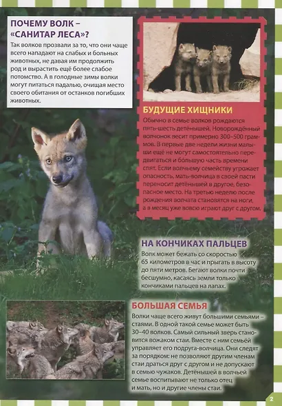 Детеныши животных - фото 3