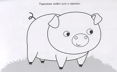 Божья коровка - фото 4