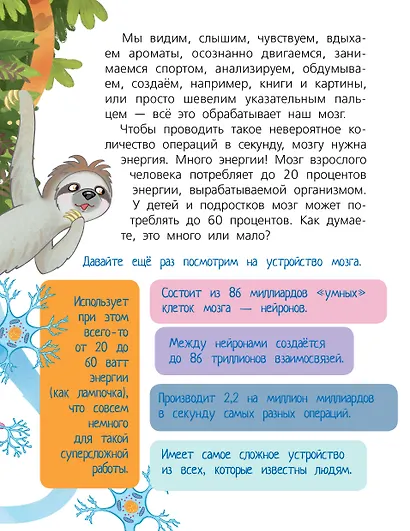 Мозг - фото 6