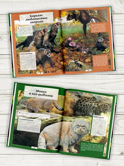 Животные нашей планеты - фото 3