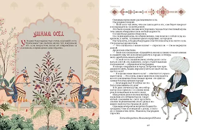 Сказки Древнего Ирана - фото 10