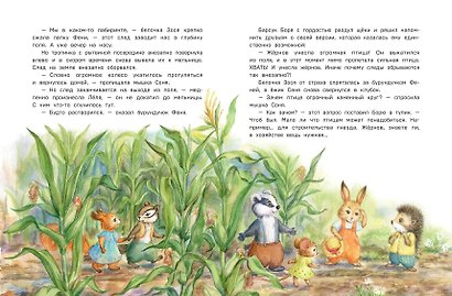 Похищение в кукурузном поле - фото 8