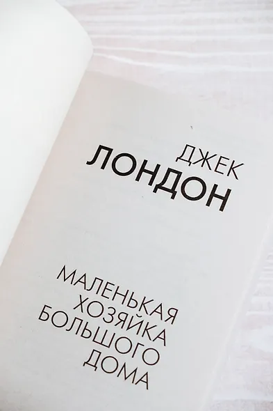 Маленькая хозяйка Большого дома - фото 8