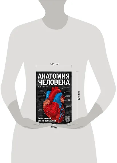 Анатомия человека: компактный атлас-раскраска - фото 7