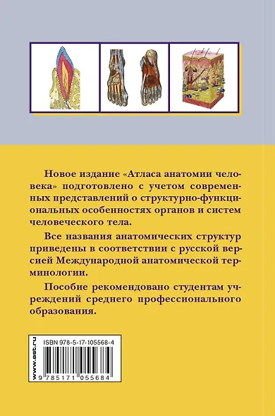 Атлас анатомии человека: Учеб. пособие для студентов учреждений сред. профессион. образования - фото 2